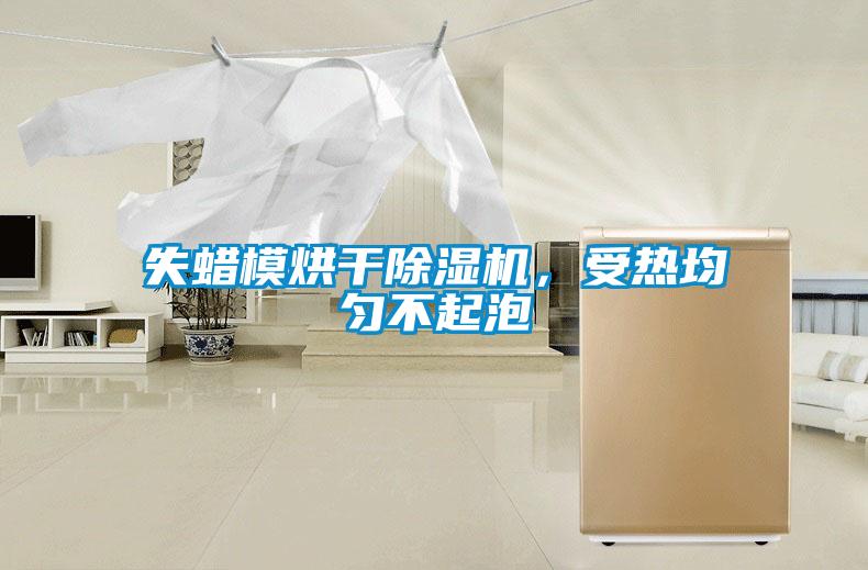 失蠟模烘干除濕機，受熱均勻不起泡