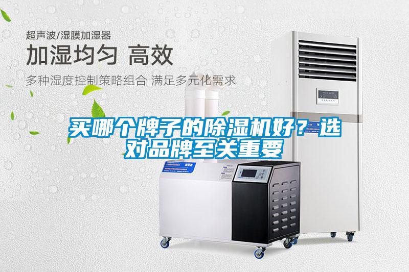 買(mǎi)哪個(gè)牌子的除濕機好？選對品牌至關(guān)重要