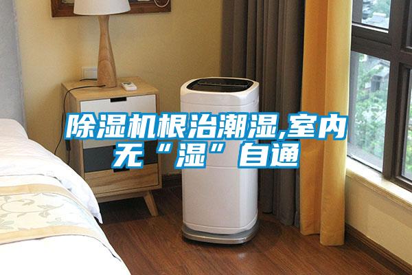 除濕機根治潮濕,室內無(wú)“濕”自通