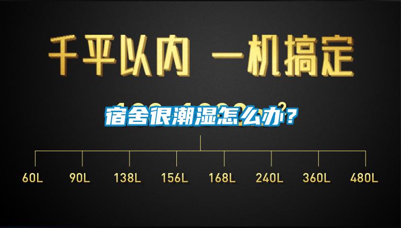 宿舍很潮濕怎么辦？