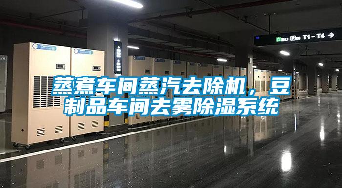 蒸煮車(chē)間蒸汽去除機，豆制品車(chē)間去霧除濕系統