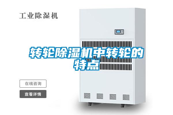 轉輪除濕機中轉輪的特點(diǎn)