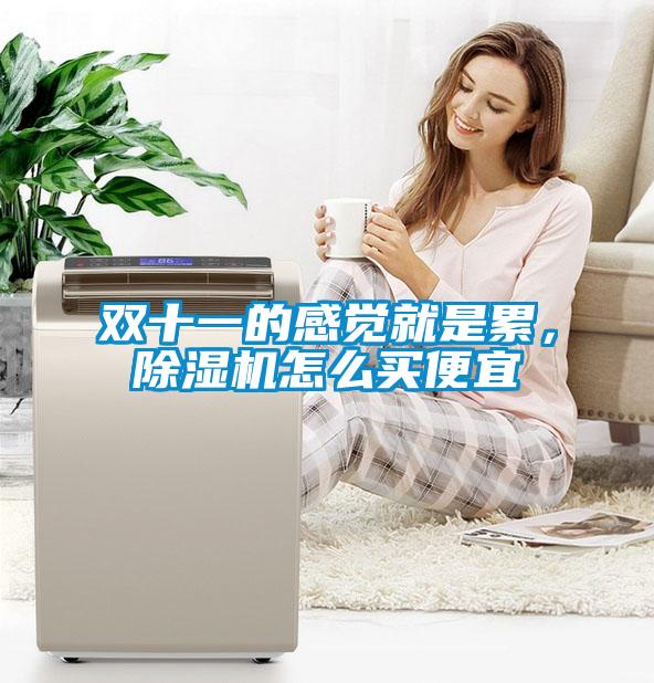 雙十一的感覺(jué)就是累，除濕機怎么買(mǎi)便宜