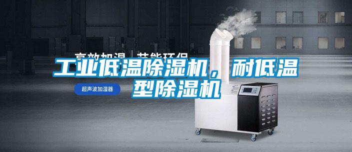 工業(yè)低溫除濕機，耐低溫型除濕機