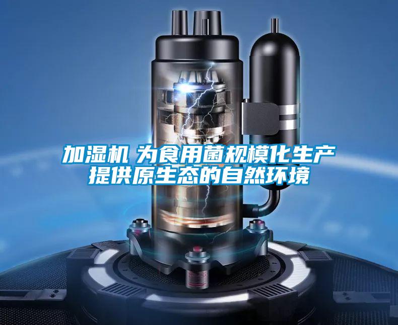 加濕機　為食用菌規?；a(chǎn)提供原生態(tài)的自然環(huán)境