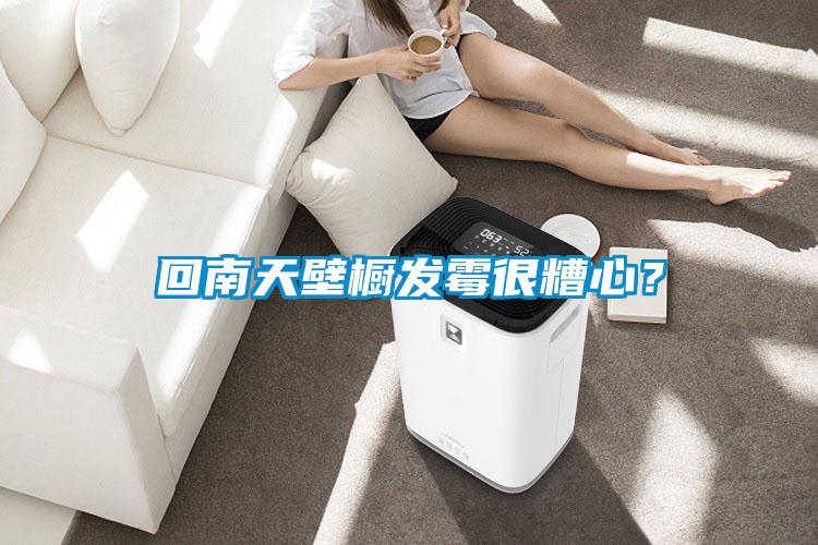 回南天壁櫥發(fā)霉很糟心？