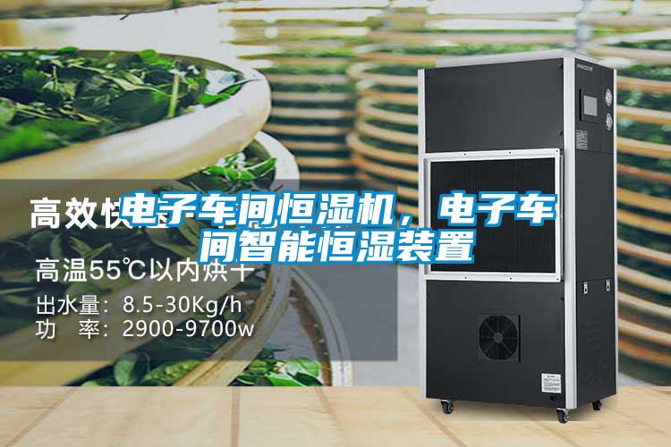 電子車(chē)間恒濕機，電子車(chē)間智能恒濕裝置