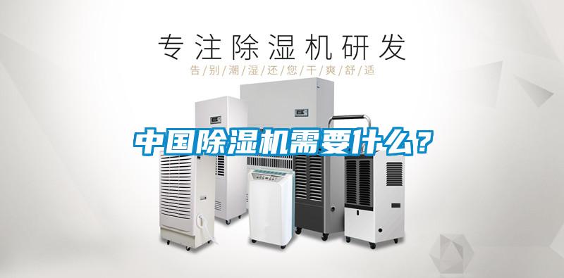中國除濕機需要什么？