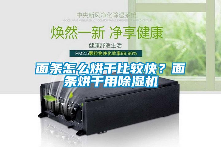 面條怎么烘干比較快？面條烘干用除濕機