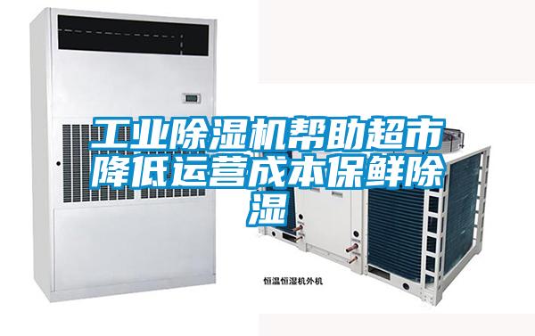 工業(yè)除濕機幫助超市降低運營(yíng)成本保鮮除濕