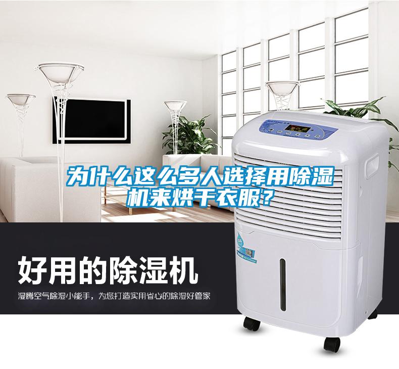 為什么這么多人選擇用除濕機來(lái)烘干衣服？