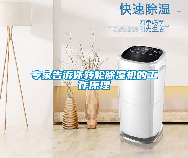 專(zhuān)家告訴你轉輪除濕機的工作原理