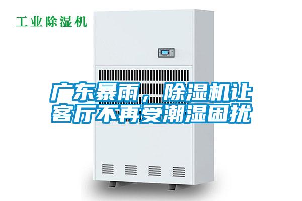 廣東暴雨，除濕機讓客廳不再受潮濕困擾