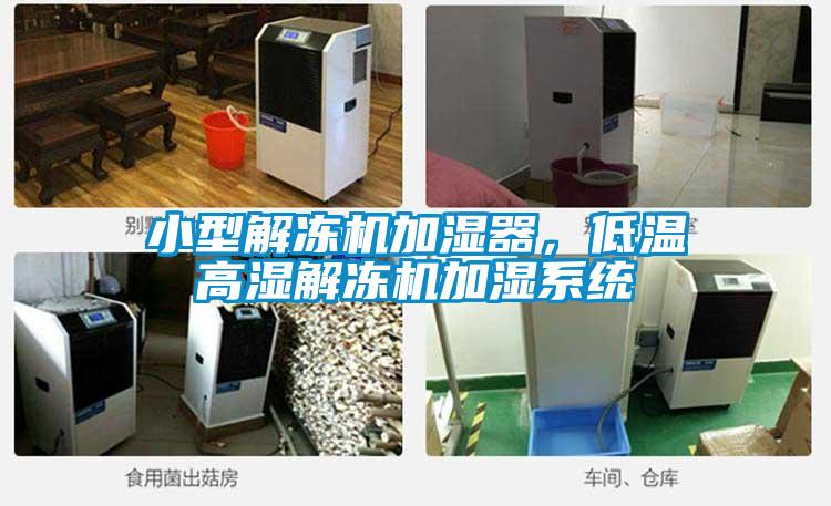 小型解凍機加濕器，低溫高濕解凍機加濕系統