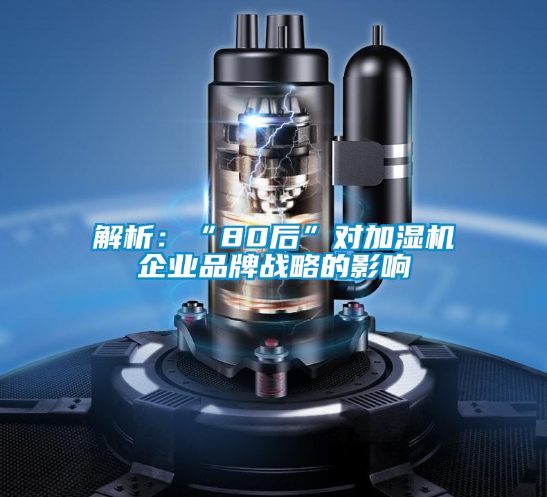 解析：“80后”對加濕機企業(yè)品牌戰略的影響