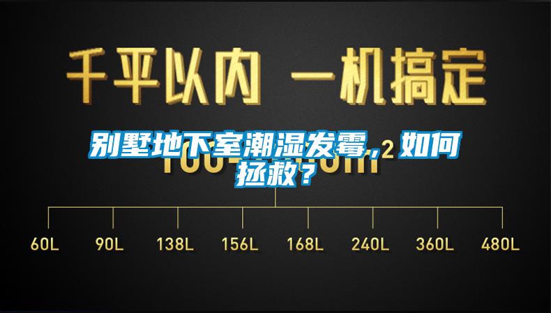 別墅地下室潮濕發(fā)霉，如何拯救？