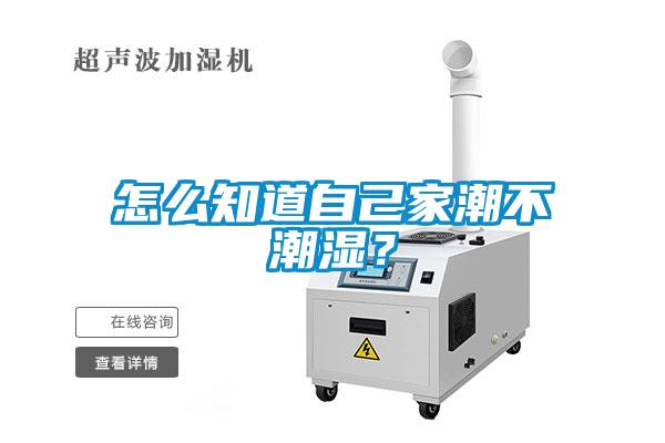 怎么知道自己家潮不潮濕？
