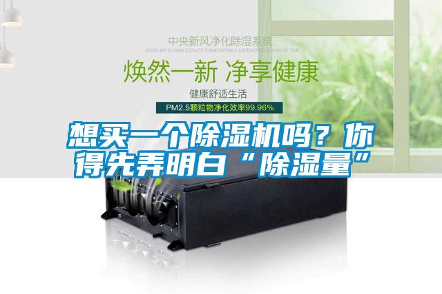 想買(mǎi)一個(gè)除濕機嗎？你得先弄明白“除濕量”