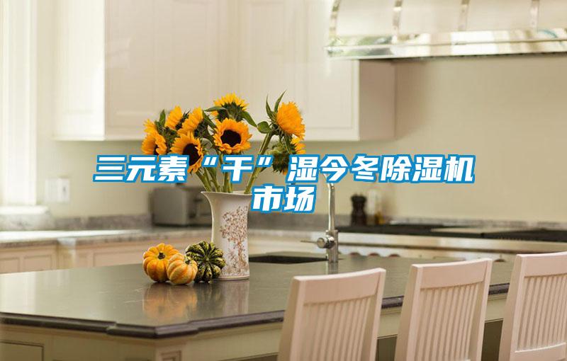 三元素“干”濕今冬除濕機市場(chǎng)