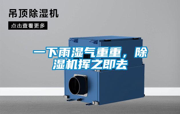一下雨濕氣重重，除濕機揮之即去