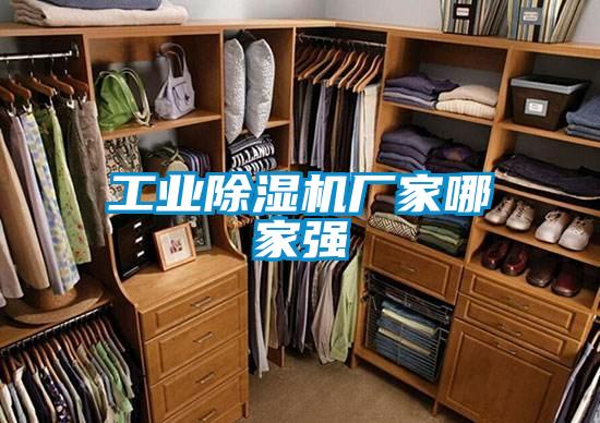 工業(yè)除濕機廠(chǎng)家哪家強