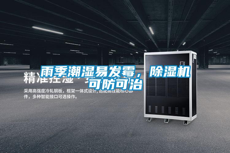 雨季潮濕易發(fā)霉，除濕機可防可治