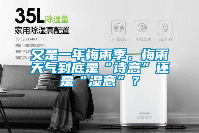又是一年梅雨季，梅雨天氣到底是“詩(shī)意”還是“濕意”？
