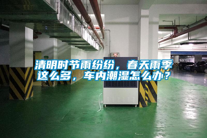 清明時(shí)節雨紛紛，春天雨季這么多，車(chē)內潮濕怎么辦？