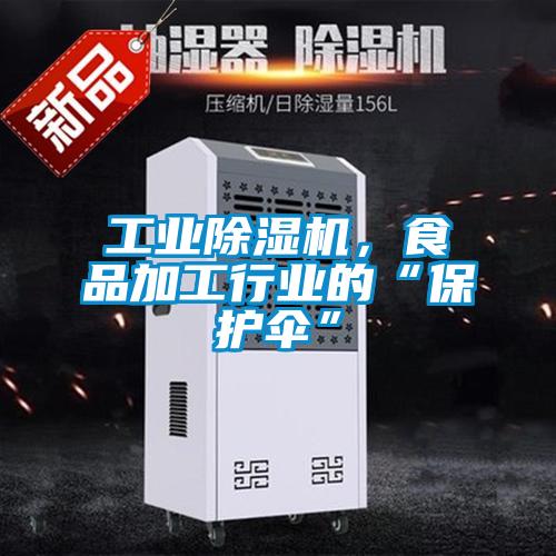 工業(yè)除濕機，食品加工行業(yè)的“保護傘”