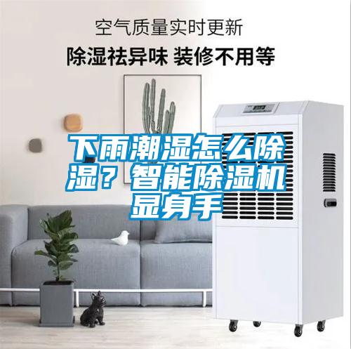 下雨潮濕怎么除濕？智能除濕機顯身手
