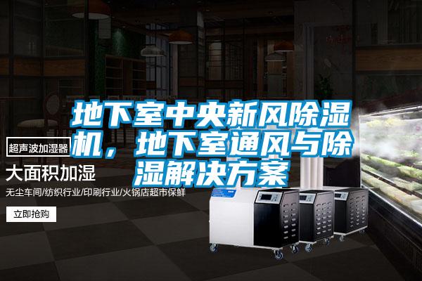 地下室中央新風(fēng)除濕機，地下室通風(fēng)與除濕解決方案