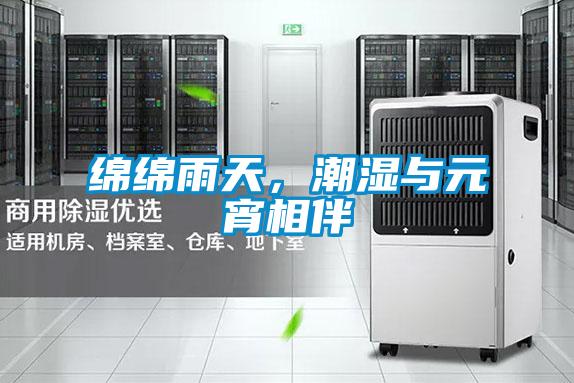 綿綿雨天，潮濕與元宵相伴