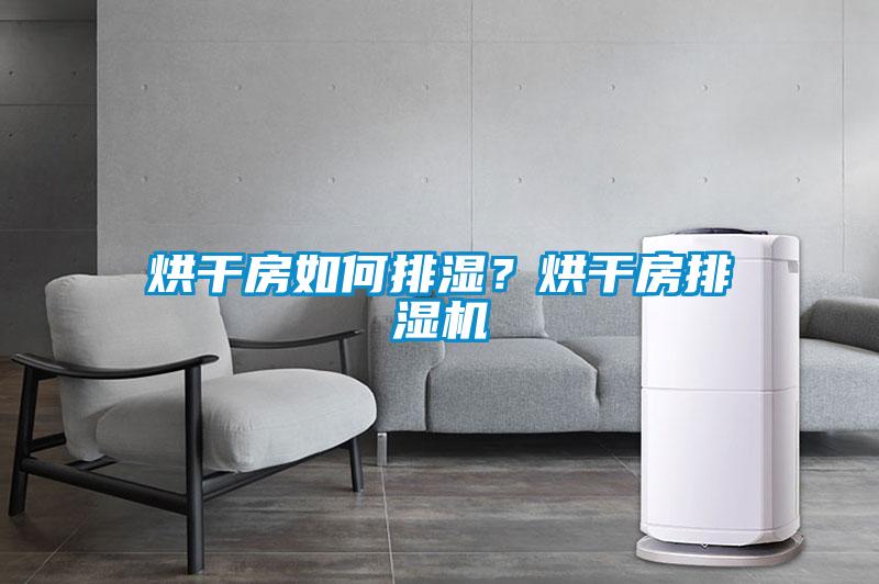 烘干房如何排濕？烘干房排濕機