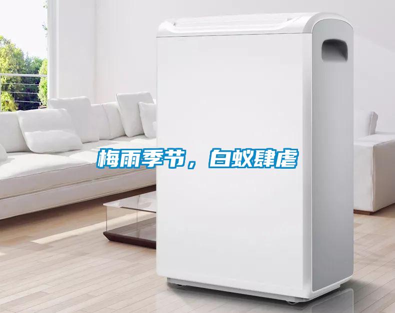 梅雨季節，白蟻肆虐