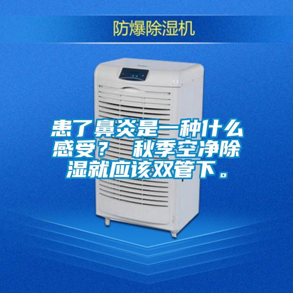 患了鼻炎是一種什么感受？ 秋季空凈除濕就應該雙管下。