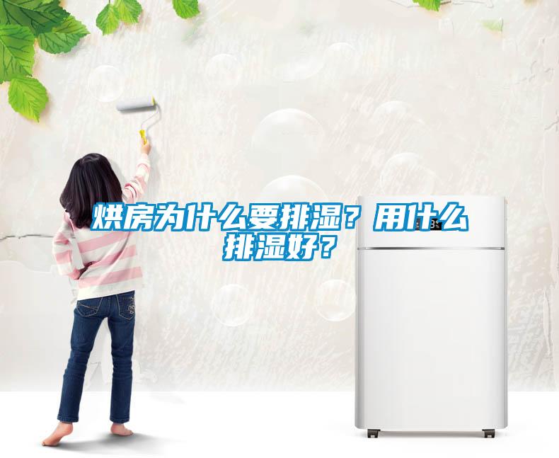 烘房為什么要排濕？用什么排濕好？