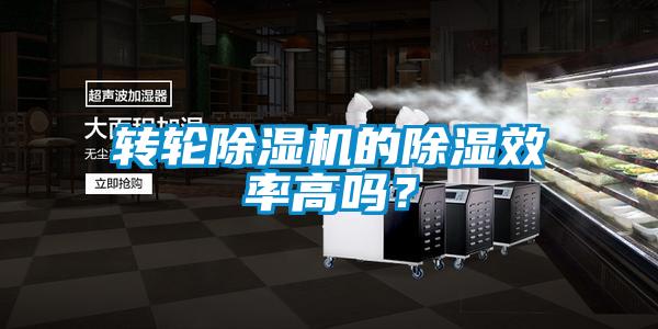轉輪除濕機的除濕效率高嗎？