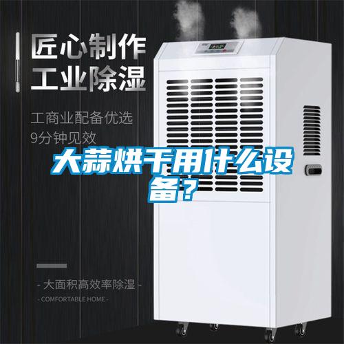 大蒜烘干用什么設備？