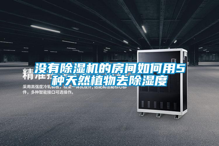 沒(méi)有除濕機的房間如何用5種天然植物去除濕度