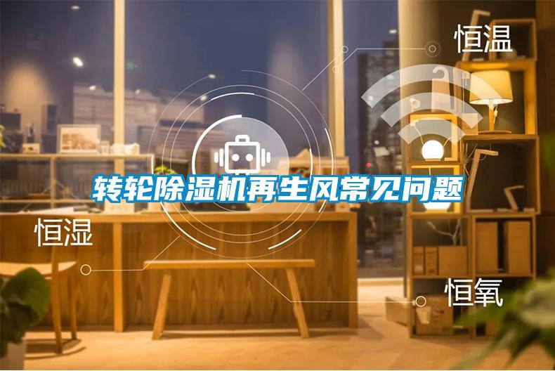 轉輪除濕機再生風(fēng)常見(jiàn)問(wèn)題