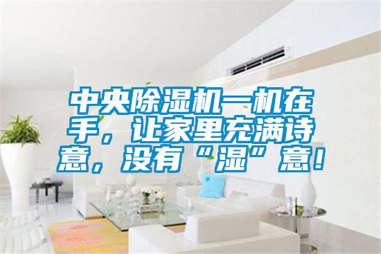 中央除濕機一機在手，讓家里充滿(mǎn)詩(shī)意，沒(méi)有“濕”意！