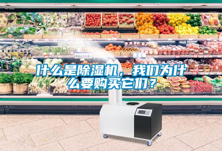 什么是除濕機，我們?yōu)槭裁匆徺I(mǎi)它們？