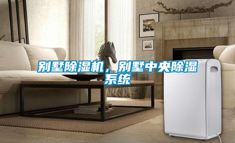 別墅除濕機，別墅中央除濕系統