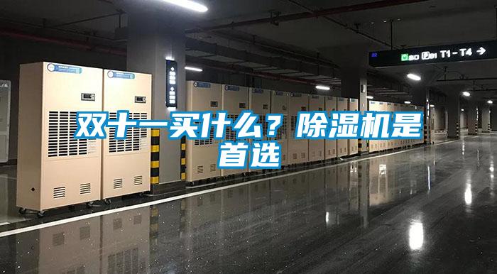 雙十一買(mǎi)什么？除濕機是首選
