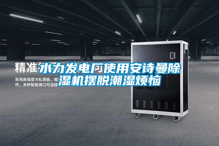 水力發(fā)電廠(chǎng)使用安詩(shī)曼除濕機擺脫潮濕煩惱