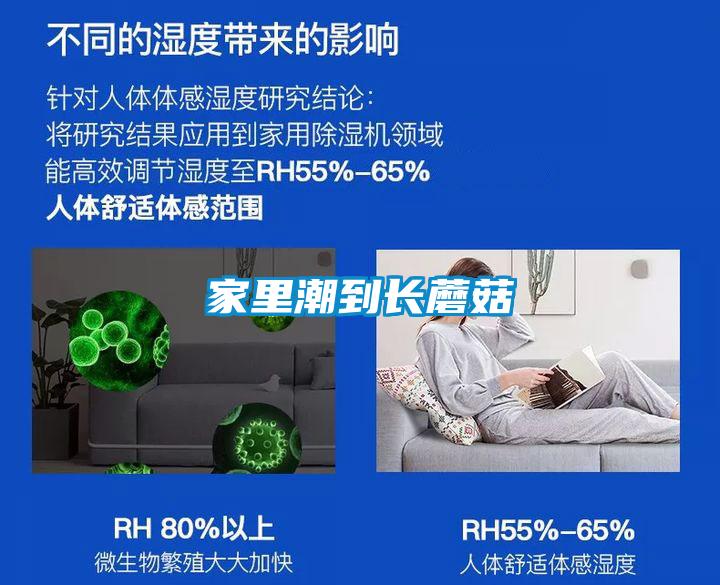 家里潮到長(cháng)蘑菇