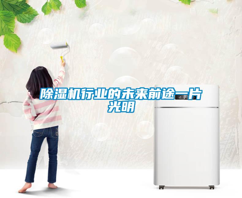 除濕機行業(yè)的未來(lái)前途一片光明