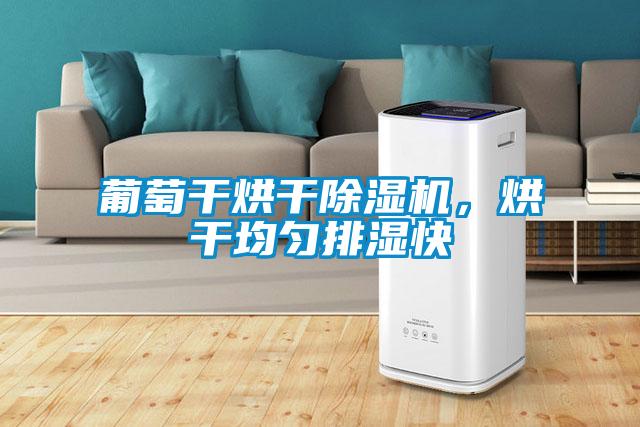 葡萄干烘干除濕機，烘干均勻排濕快
