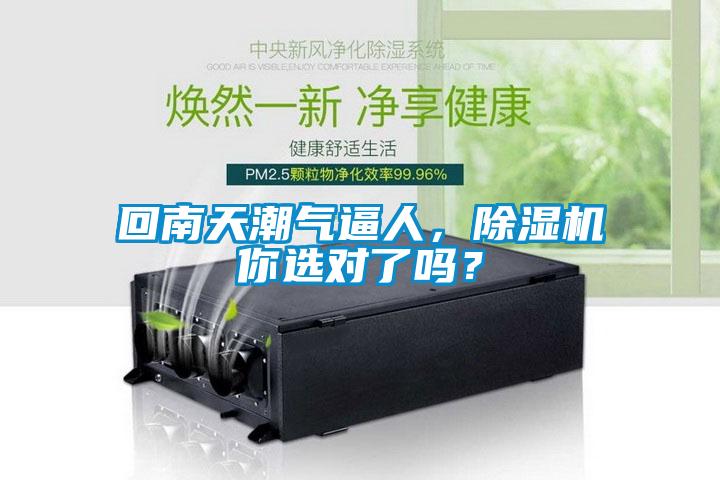 回南天潮氣逼人，除濕機你選對了嗎？