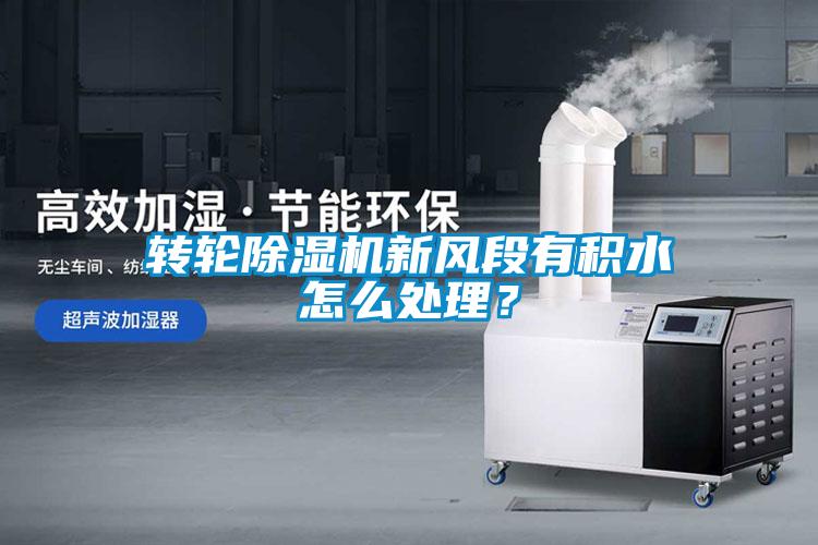 轉輪除濕機新風(fēng)段有積水怎么處理？